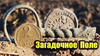Коп на поле, нашел царское серебро