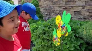 Grow some flowers for kids