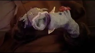 Sock Puppet Auditions