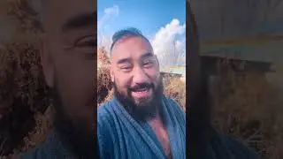 Горные мустанги