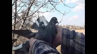 9 марта  на Полегоне