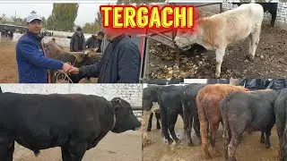 Kosonsoy tumani Tergachi bozori 22-oktyabr.