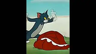 TOM vs SPIKE #fyp #fypシ#рек #томиджерри #мультфильмы #cartoon #tomandjerry #tomandjerryedits