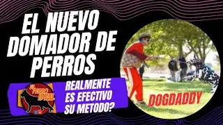 Este es el Futuro del Dog Training?