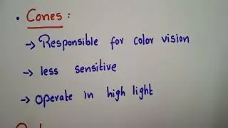 Cones and rod cells||Human eye||Happy learning