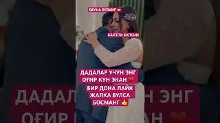 #alishermedia