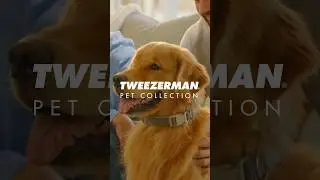 Approved by experts, trusted by the community. 🐾 Welcome our new Tweezerman Pet Collection!