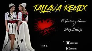 Endritbeats - Flutro Pllum x Lulija (Tallava Remix) 🔥