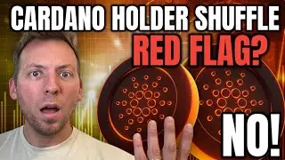 CARDANO ADA - HOLDERS DROP OVER 3 MONTHS...IS THIS A RED FLAG?!