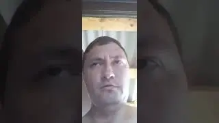 анекдот про ежика
