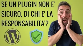Se un plugin non è sicuro chi si prende la responsabilità?