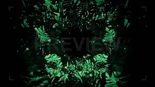 Jungle | Stock Motion Graphics - Motion Array
