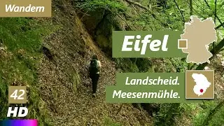 Eifel | Landscheid - Meesenmühle | Genusswandern | Eifelsteig