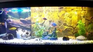 VIDEO0098