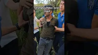 domates fidesi #polis #komedi