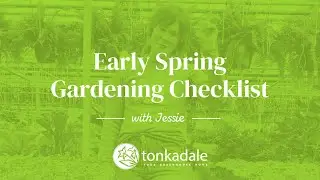 Early Spring Gardening Checklist