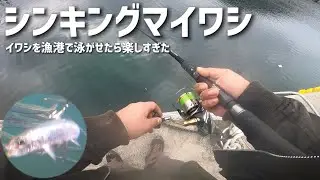 【海アメ、海サクラ】ノマセ釣りが面白すぎる！