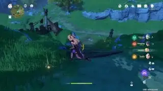 Genshin Impact: Team synergy