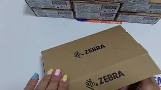 Terminal móvil Zebra TC27 - WCMTB-T27B6ABC2-A6