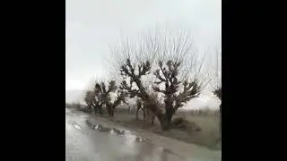 ISHTXON TUMANI YUĜANTEPA MAXALASI SAROY QISHLOĜI AXVAL MAN SHUNDAY AFSUZ
