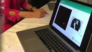 First prototype demonstration