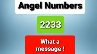Nesara-Gesara: Angel numbers 2233