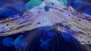 H2O - Stefan Dowsing