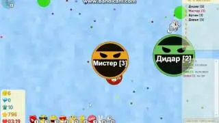 АГАРИО #2