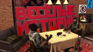ВЕСЁЛЫЕ ИСТОРИИ / Counter Strike 2