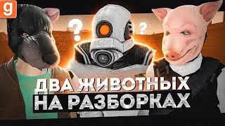 ДВА ЖИВОТНЫХ ОБМАНЫВАЮТ АДМИНА НОВИЧКА В Garry's Mod DarkRP