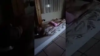 Sleep Stream Swiss 3