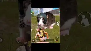 МЫ С СКОВОРОДОЙ!!!