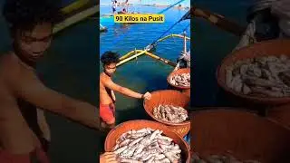 90 Kilo's na Pusit sa loob ng Isang gabi 