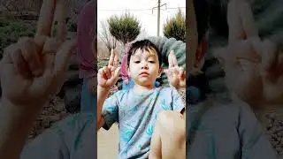 15 апреля 2023 г.