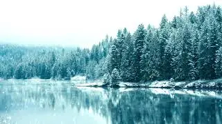 Небро - Туда