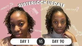 Sisterlocks 90 Day Update: Let's Count my Locs!