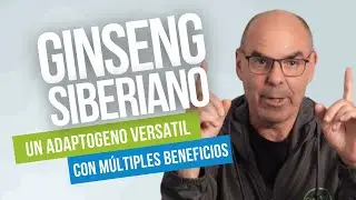 El GINSENG SIBERIANO y sus Excelentes Propiedades