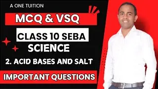 class 10 science chapter 2 important questions seba english medium | mcq and vsq 2024-25