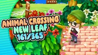 [161/365] Animal Crossing New Leaf | Was kann man im Flugzeug alles machen?