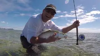 Fly Fishing for Hawaiian Bonefish With Bob