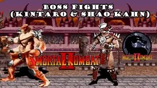 Mortal Kombat 2 - Boss Fights (Kintaro & Shao Kahn)