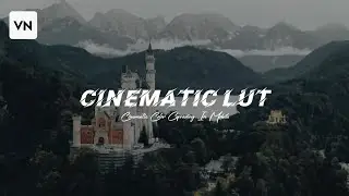 CINEMATIC LUT/PRESET VN EDITOR || FREE LUT (english subtitle)