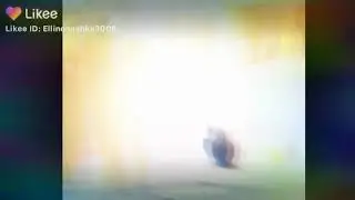 Птица даёт честь Путина это ШОК😲😲😲