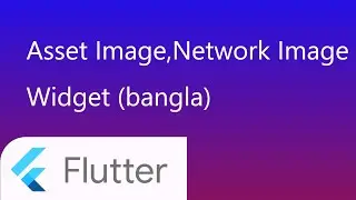 13. Image from asset and network in flutter | flutter easy explanation