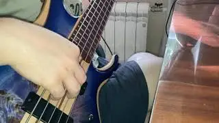 130$ vs 1300$ bass(Victor Bailey - Low Blow(slowed))