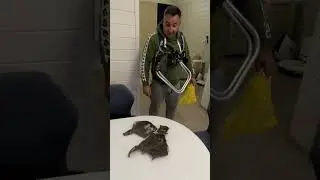 Рыбак вернулся