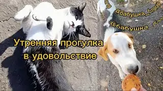 Тотальный контроль. Женщине в деревне невозможно остаться одной даже на минуту 