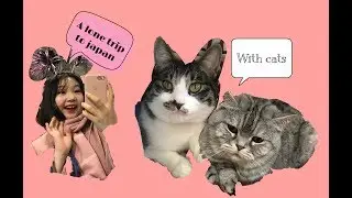 혼자 한 일본 여행 vlog & with 사촌언니,친구 / 일본 고양이 두마리 와 함께 한 6박7일