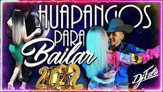 GRUPO LEGITIMO Y LOS AVILA - POPURRI HUAPANGOS CHINGONES 2022 - HUAPANGOS MIX 2022