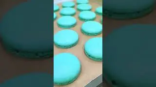 Peppermint Chip Macarons #shorts #macaron #baking
